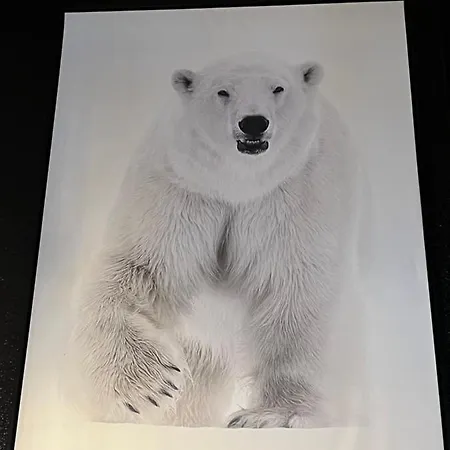 Chalet De L Ours Bolquere